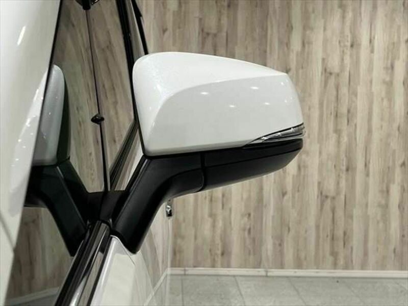 ALPHARD-29