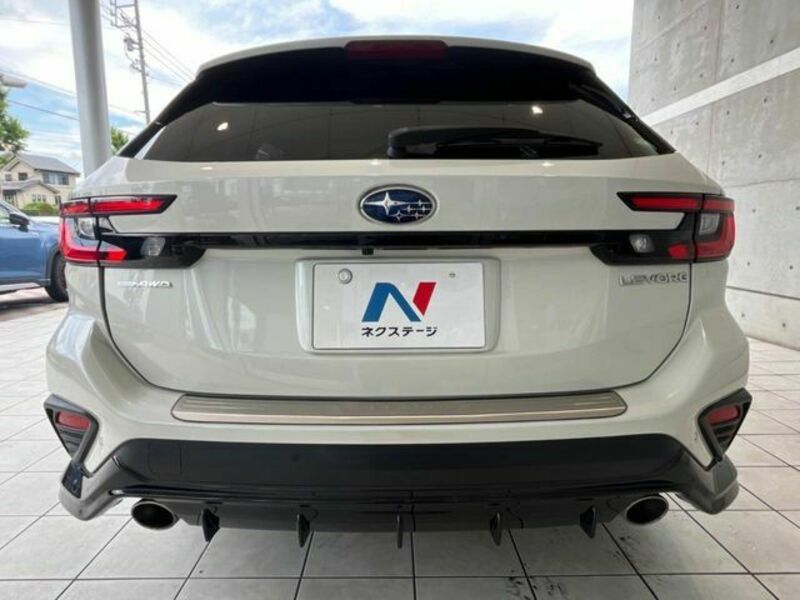 LEVORG