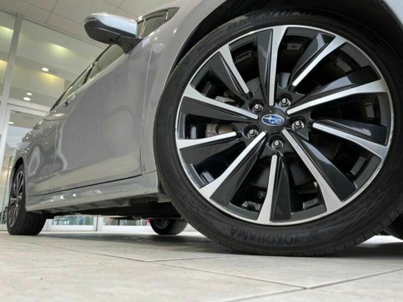 LEVORG-13