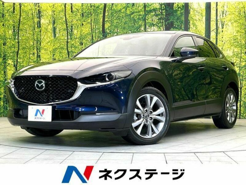 CX-30