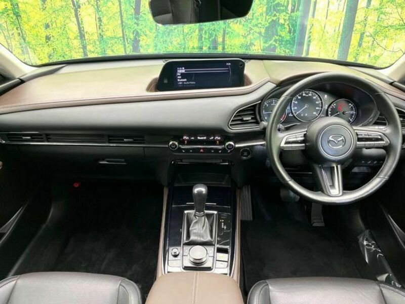 CX-30-1