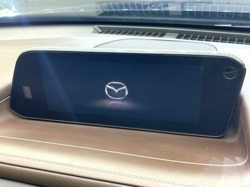 CX-30-3