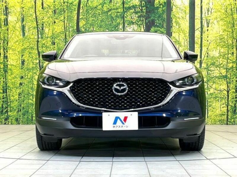 CX-30-13