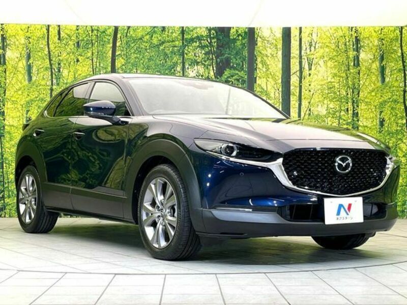 CX-30-15