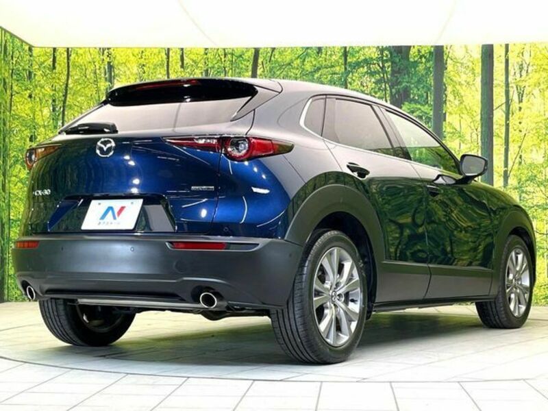 CX-30-16