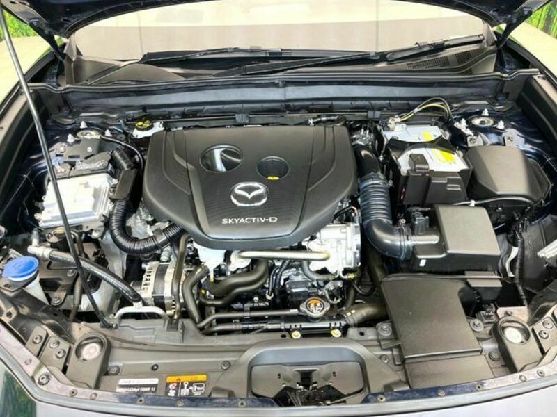 CX-30-17