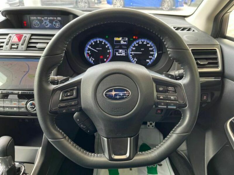 LEVORG