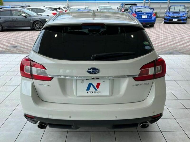 LEVORG