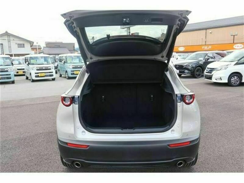 CX-30