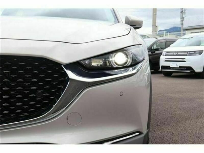 CX-30