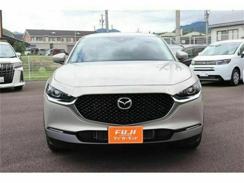 CX-30