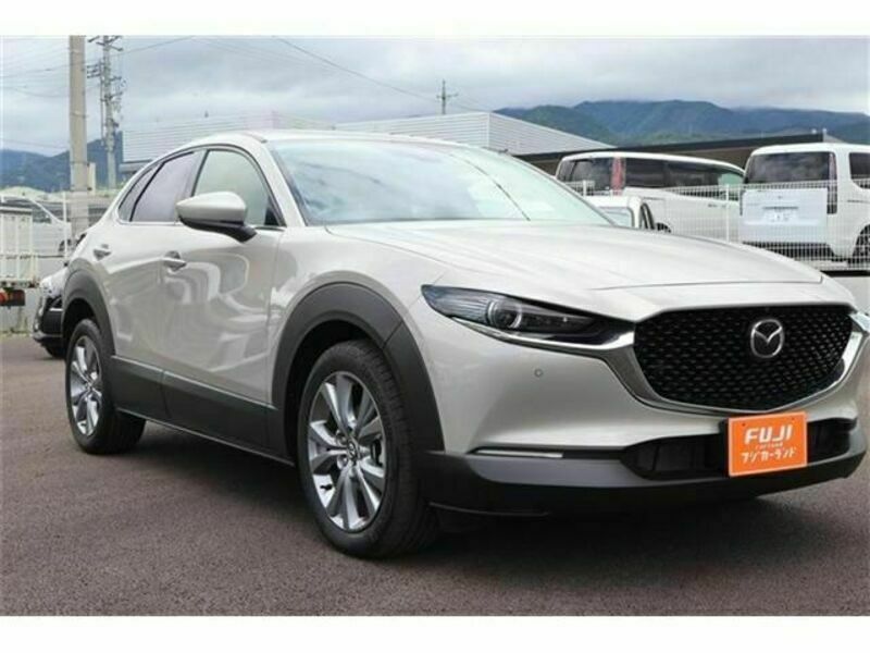 CX-30