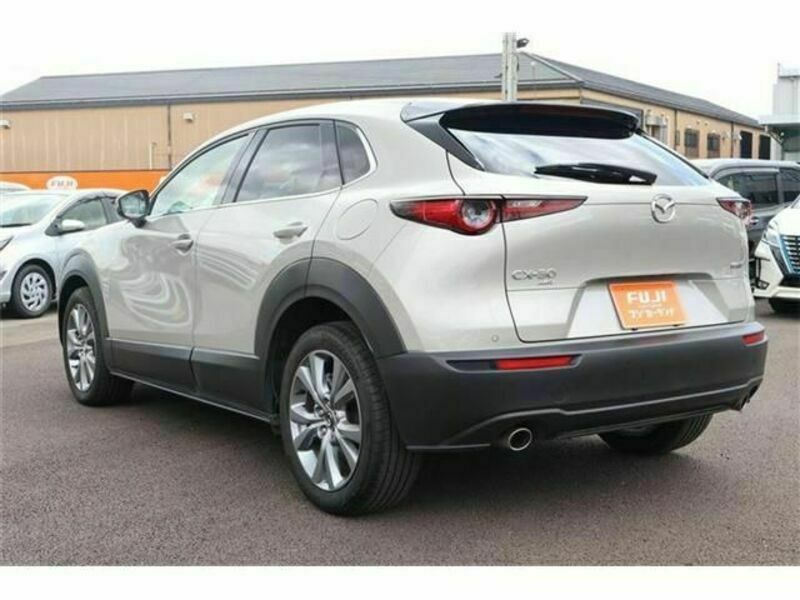 CX-30