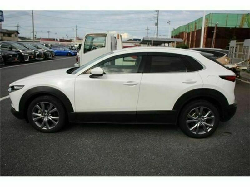 CX-30-8