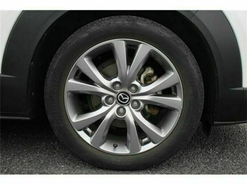 CX-30-11
