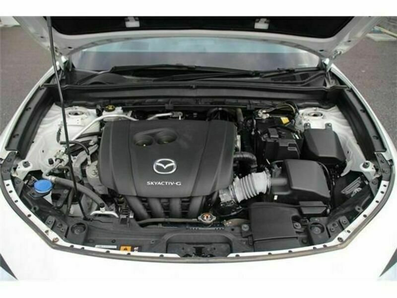 CX-30-19
