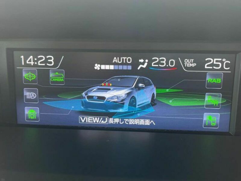 LEVORG-5