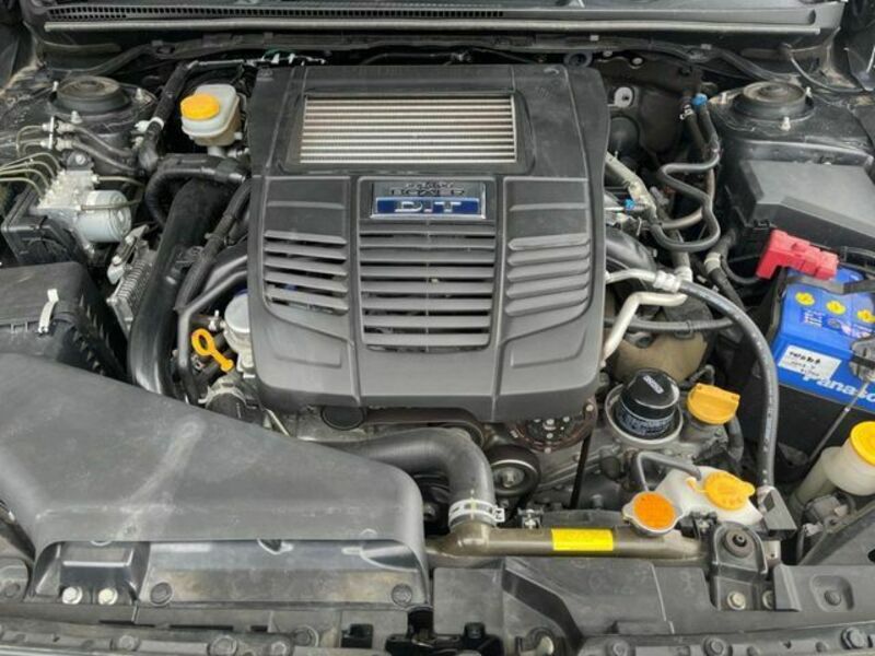 LEVORG-19