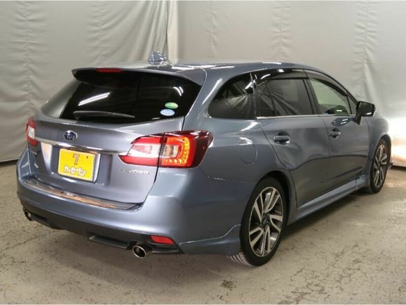 LEVORG
