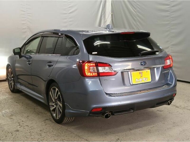 LEVORG