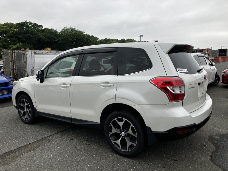 FORESTER