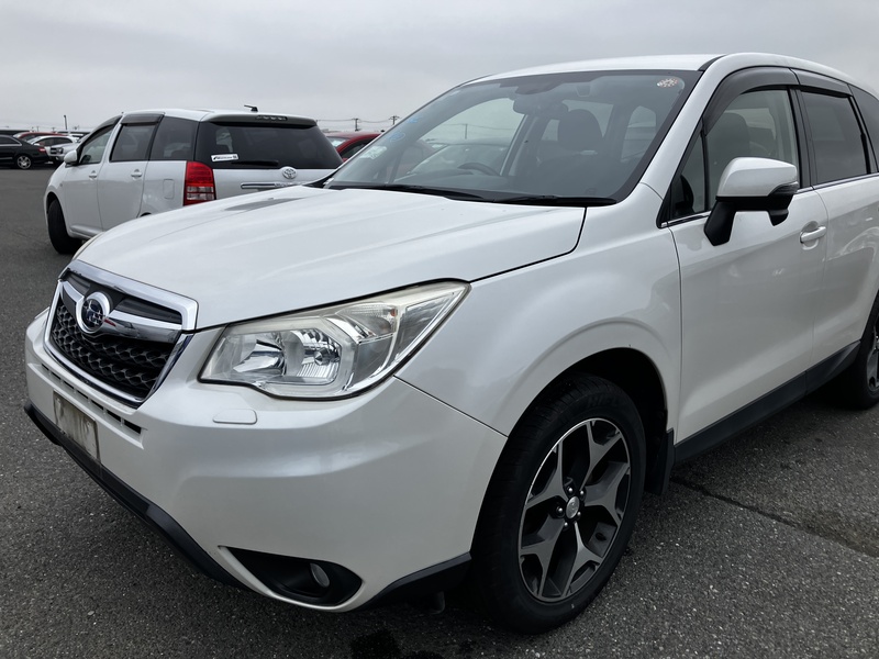 FORESTER