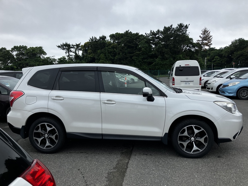 FORESTER