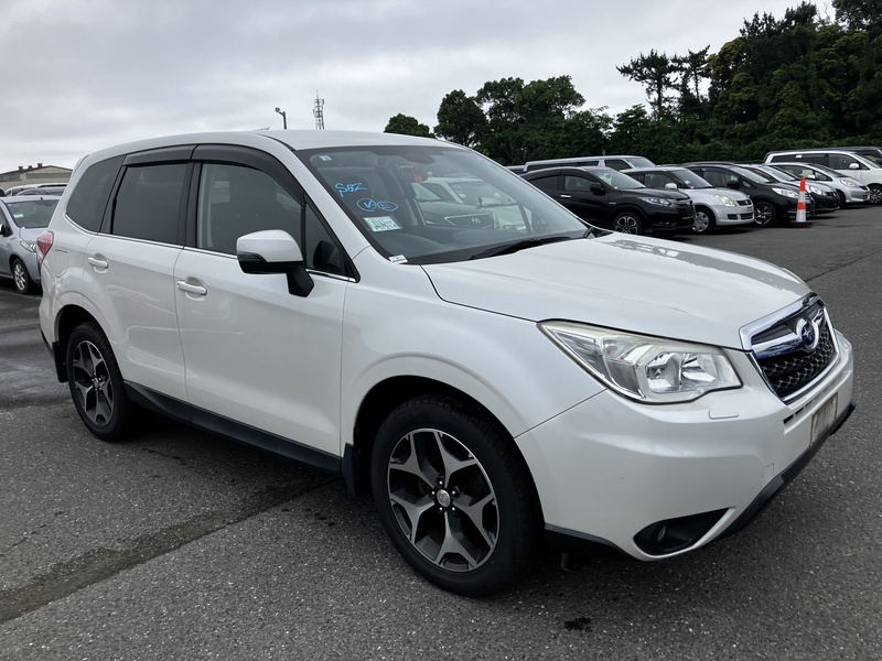 FORESTER