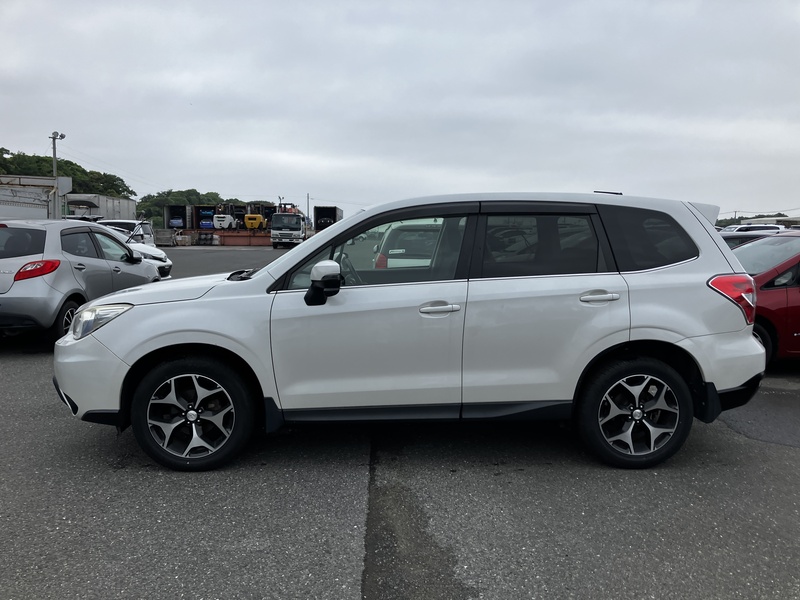 FORESTER
