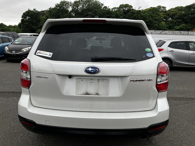 FORESTER