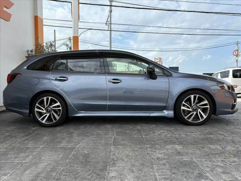 LEVORG