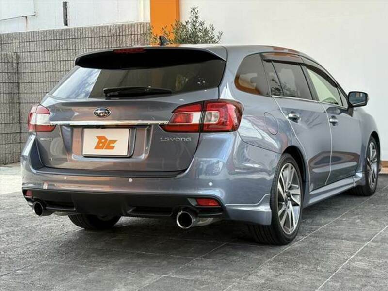 LEVORG