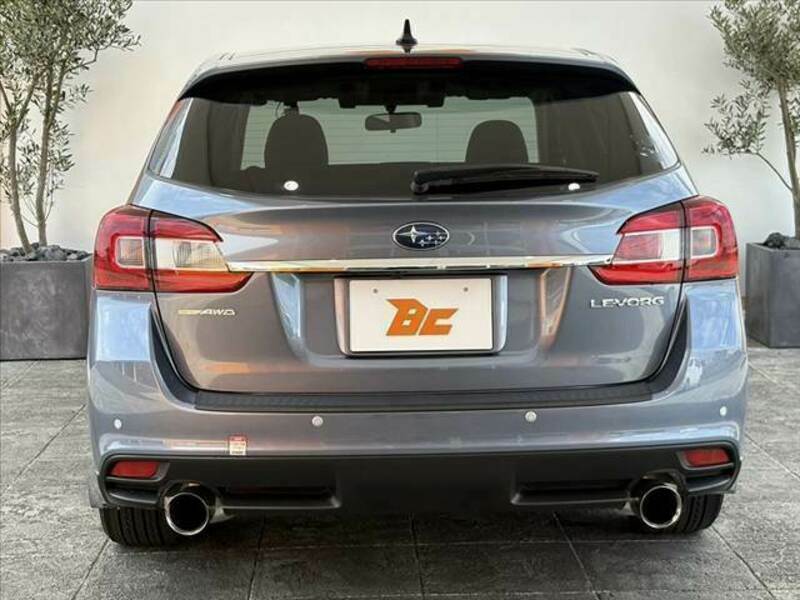 LEVORG