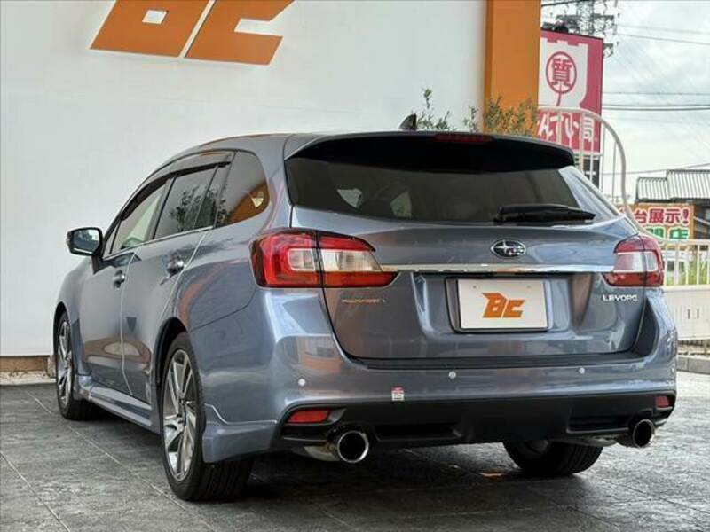 LEVORG