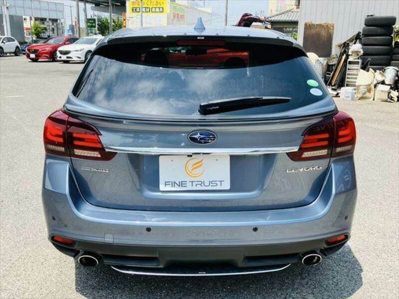 LEVORG