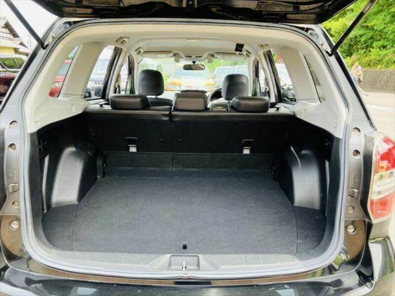 FORESTER-10