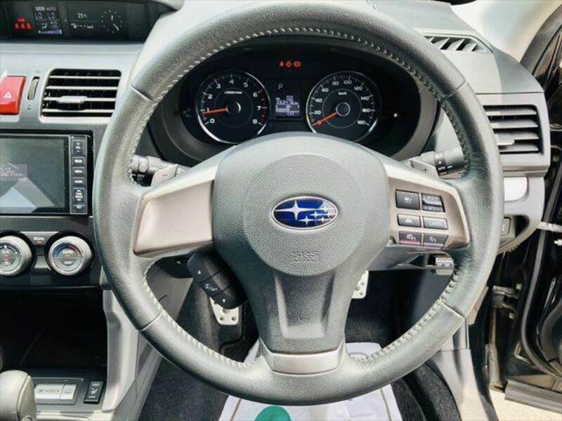 FORESTER-11