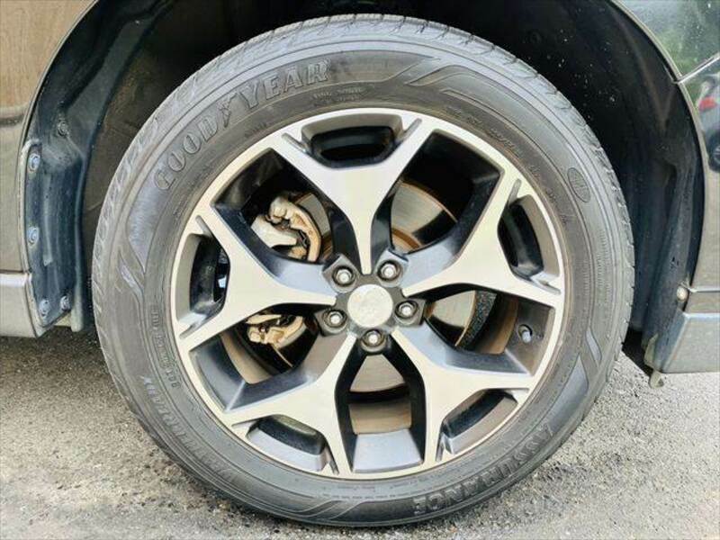 FORESTER-14