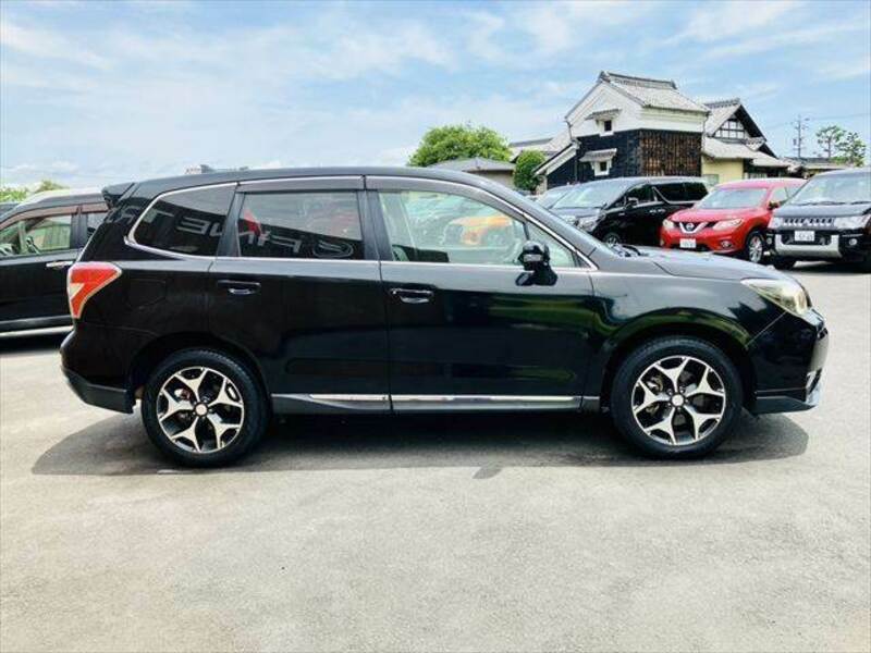 FORESTER-17