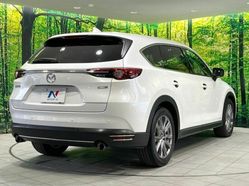 CX-8