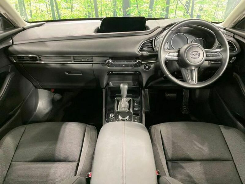 CX-30