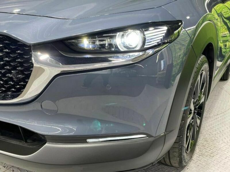 CX-30