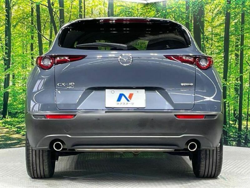 CX-30