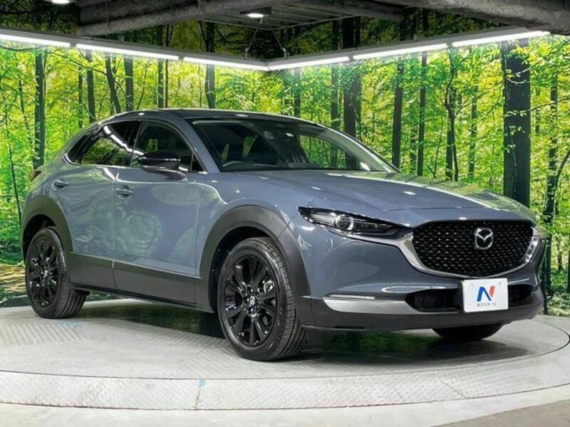 CX-30