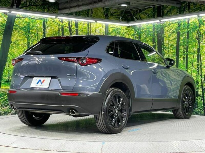CX-30