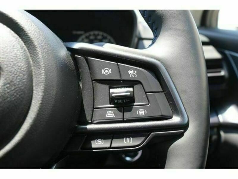 LEVORG-3