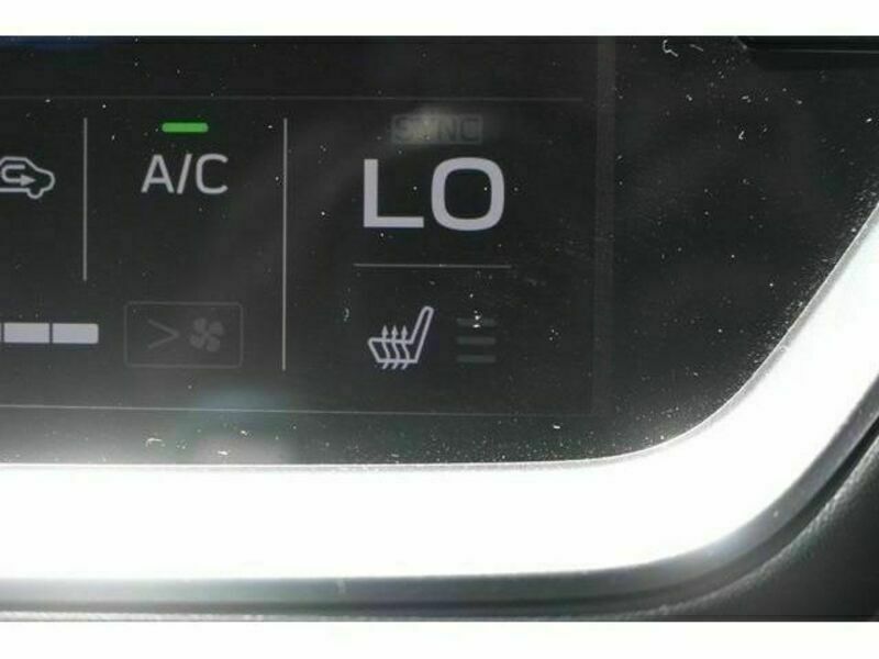 LEVORG-4