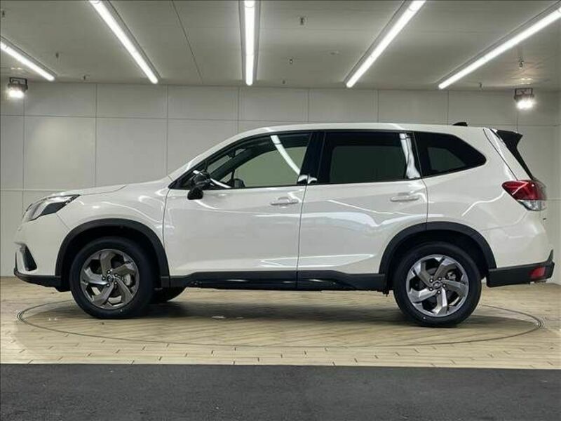 FORESTER