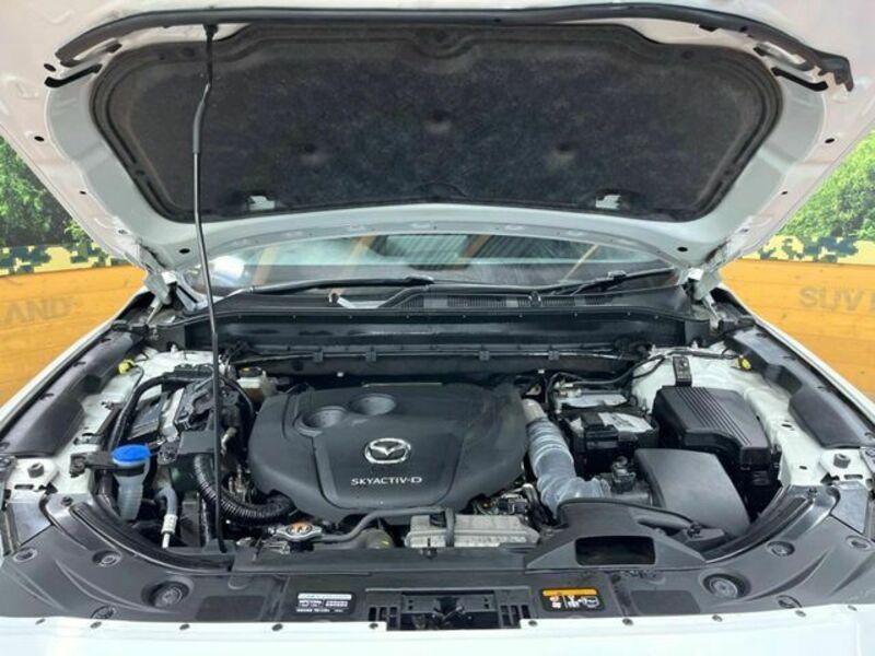 CX-8