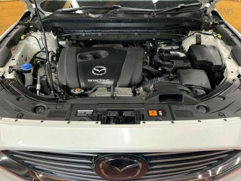 CX-8